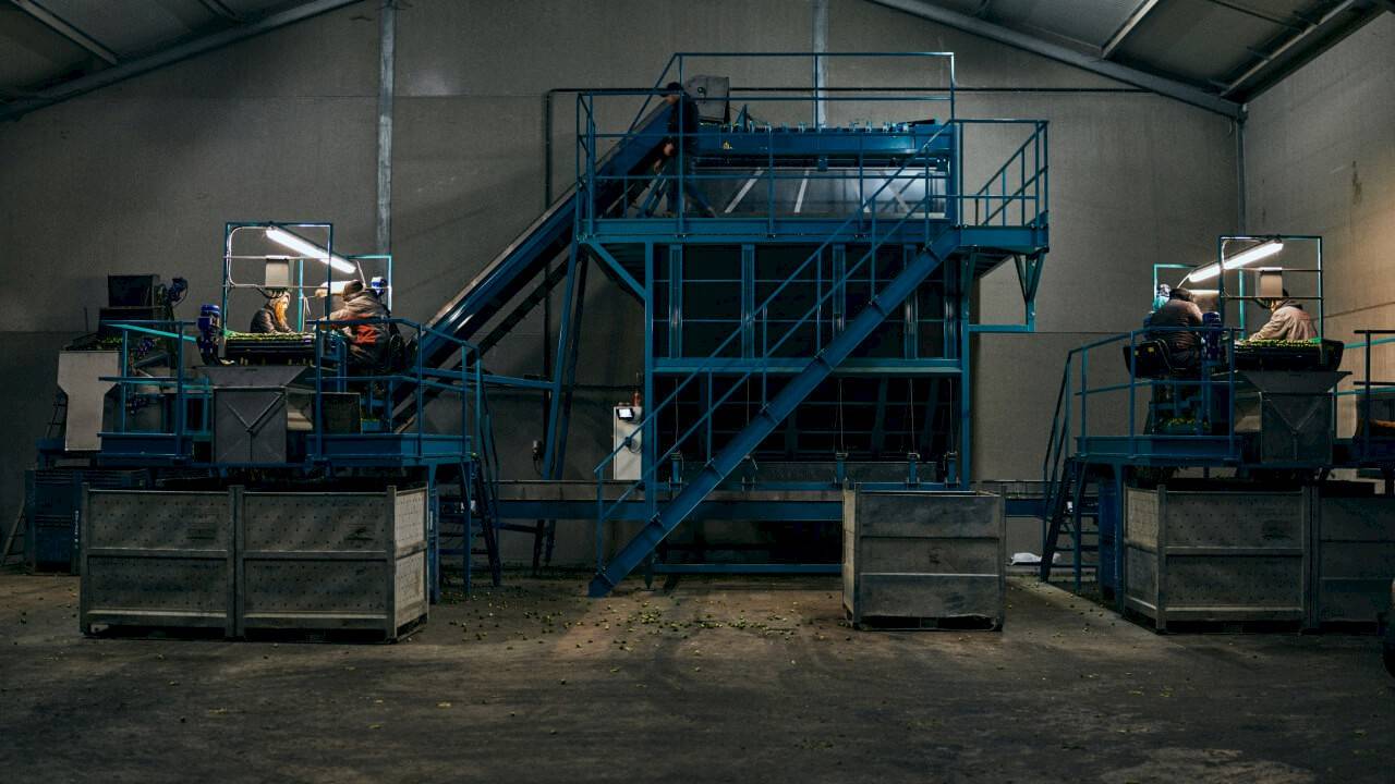 4 people working on the mechanical sorting installation in dim light