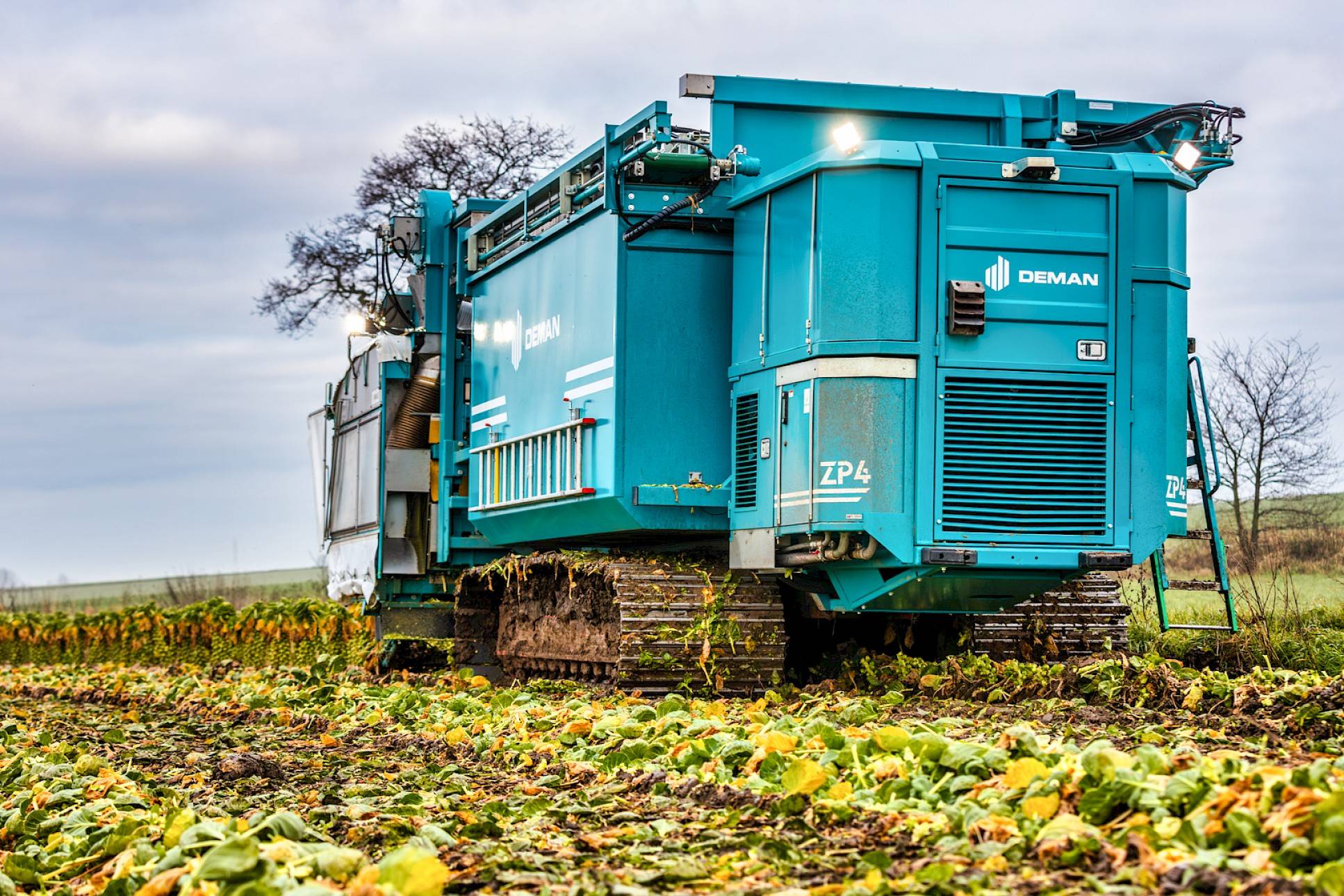 ZP4: Self-driving sprout harvester IV-row - harvesting on field